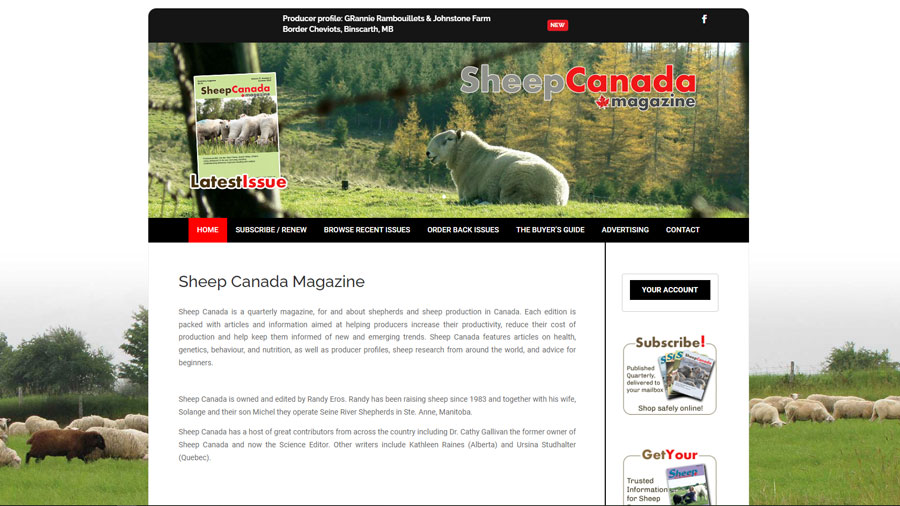 Sheep Canada Magazine