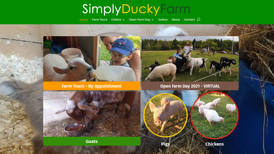 Simply Ducky Farm